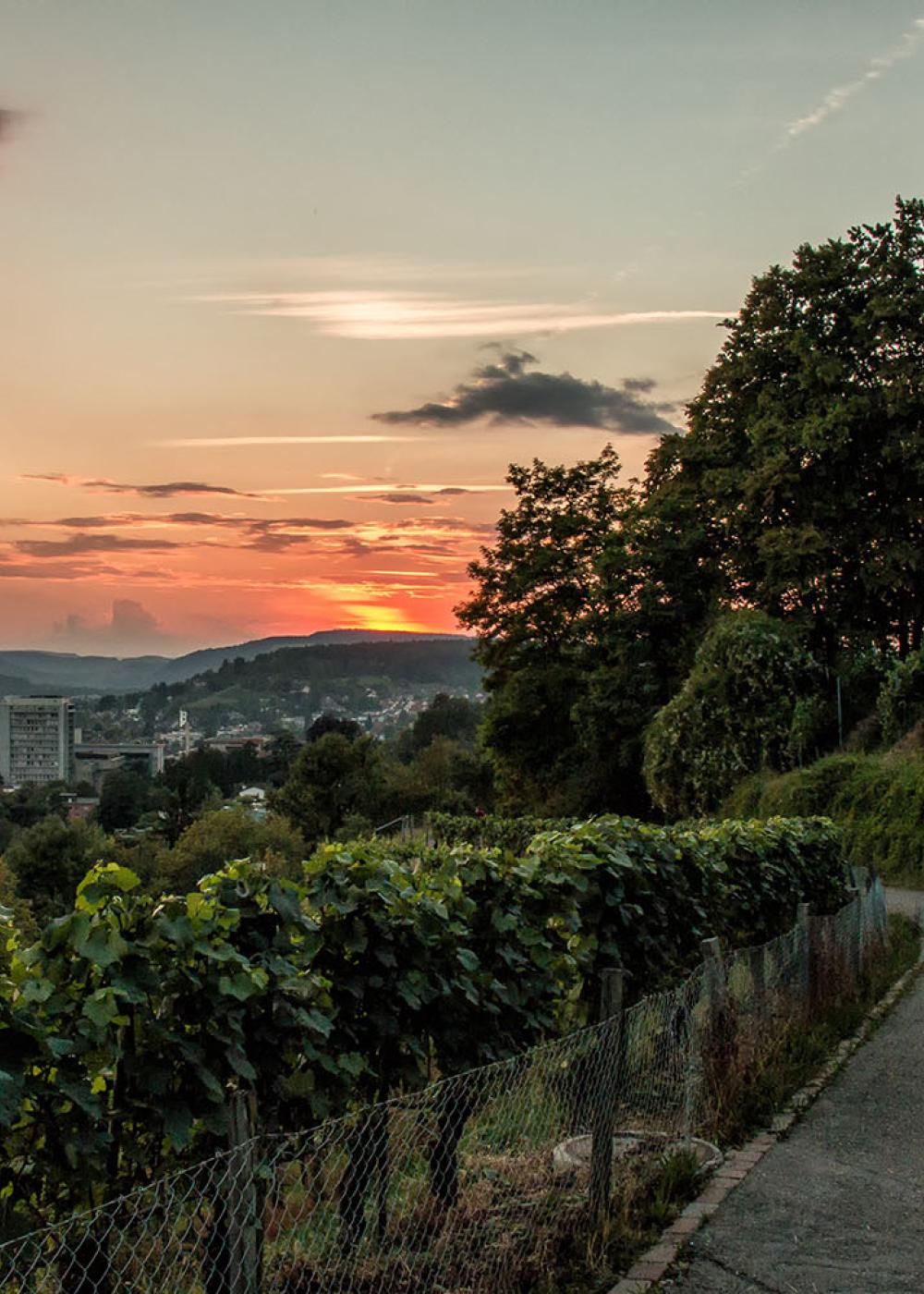 Abendrot über Winterthur
